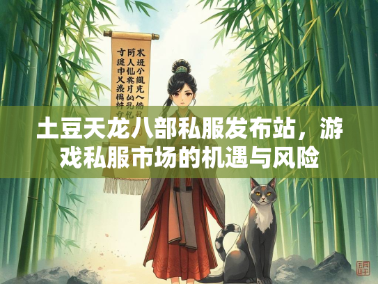 土豆天龙八部私服发布站，游戏私服市场的机遇与风险  第4张