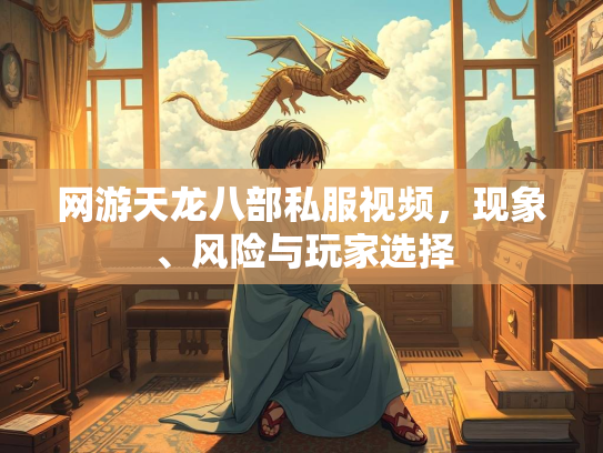 网游天龙八部私服视频，现象、风险与玩家选择  第3张
