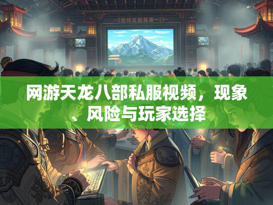 网游天龙八部私服视频，现象、风险与玩家选择  第4张