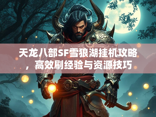 天龙八部SF雪狼湖挂机攻略，高效刷经验与资源技巧  第4张