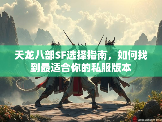 天龙八部SF选择指南，如何找到最适合你的私服版本