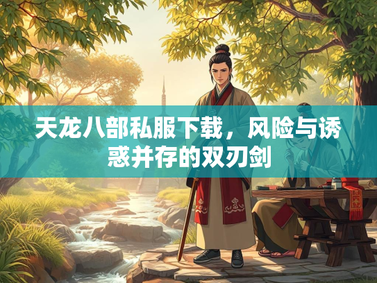 天龙八部私服下载，风险与诱惑并存的双刃剑  第2张