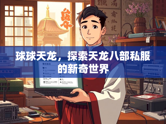 球球天龙，探索天龙八部私服的新奇世界  第2张