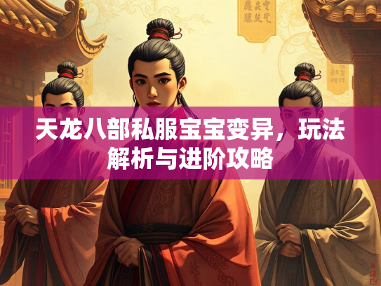 天龙八部私服宝宝变异，玩法解析与进阶攻略  第3张