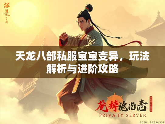 天龙八部私服宝宝变异，玩法解析与进阶攻略