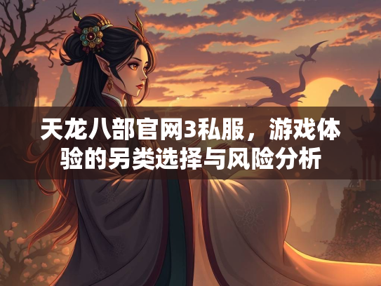 天龙八部官网3私服，游戏体验的另类选择与风险分析  第2张