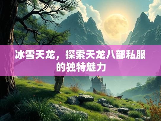 冰雪天龙，探索天龙八部私服的独特魅力  第2张