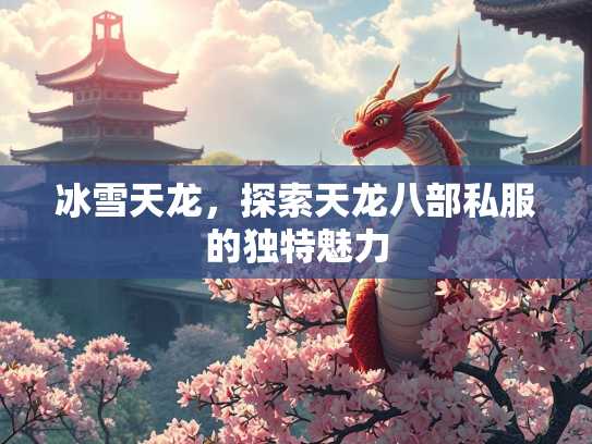 冰雪天龙，探索天龙八部私服的独特魅力  第3张