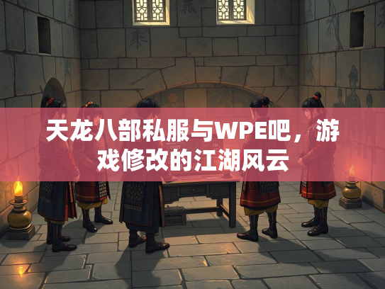 天龙八部私服与WPE吧，游戏修改的江湖风云  第2张