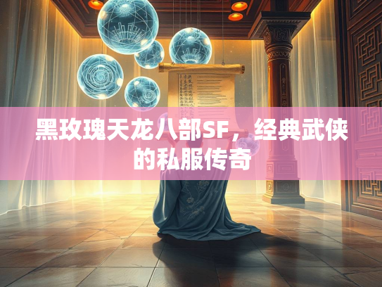 黑玫瑰天龙八部SF，经典武侠的私服传奇  第2张
