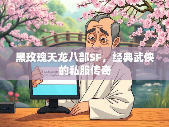 黑玫瑰天龙八部SF，经典武侠的私服传奇  第3张