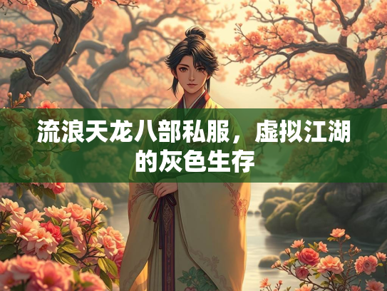 流浪天龙八部私服，虚拟江湖的灰色生存  第2张