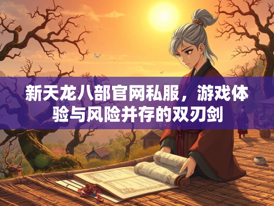 新天龙八部官网私服，游戏体验与风险并存的双刃剑  第2张