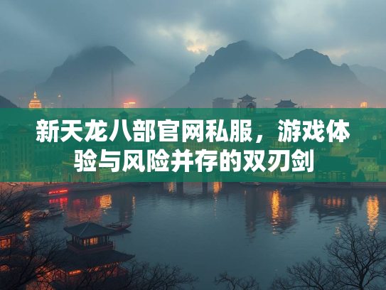 新天龙八部官网私服，游戏体验与风险并存的双刃剑
