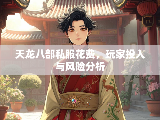 天龙八部私服花费，玩家投入与风险分析  第2张