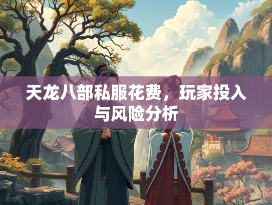 天龙八部私服花费，玩家投入与风险分析  第3张