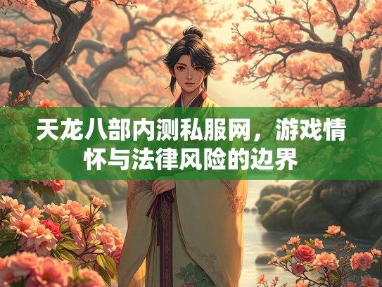 天龙八部内测私服网，游戏情怀与法律风险的边界