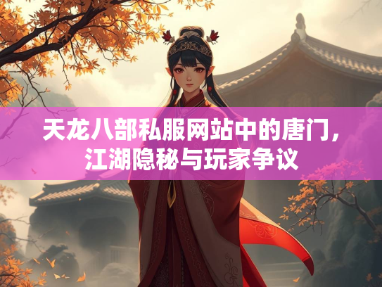 天龙八部私服网站中的唐门，江湖隐秘与玩家争议