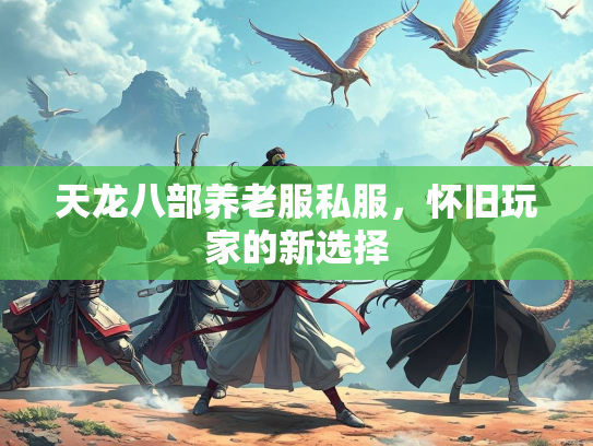 天龙八部养老服私服，怀旧玩家的新选择  第3张