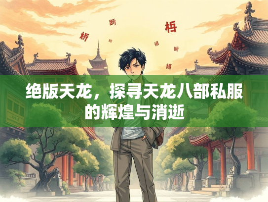 绝版天龙，探寻天龙八部私服的辉煌与消逝  第1张