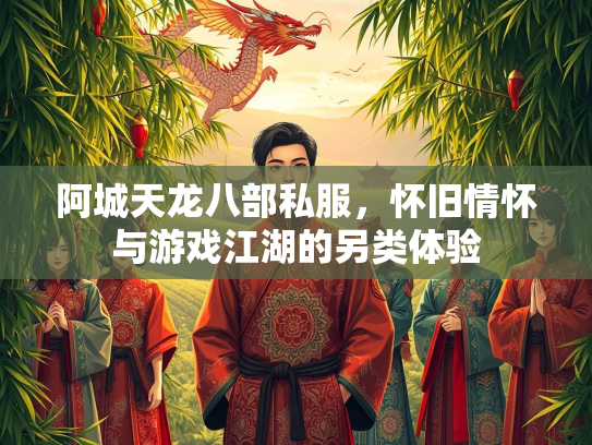 阿城天龙八部私服，怀旧情怀与游戏江湖的另类体验  第3张