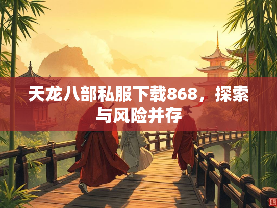 天龙八部私服下载868，探索与风险并存  第2张