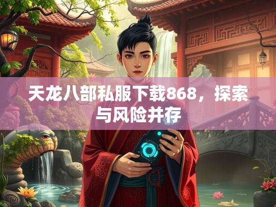 天龙八部私服下载868，探索与风险并存