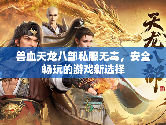 兽血天龙八部私服无毒，安全畅玩的游戏新选择  第3张