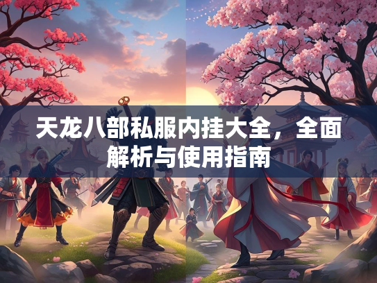 天龙八部私服内挂大全，全面解析与使用指南  第2张