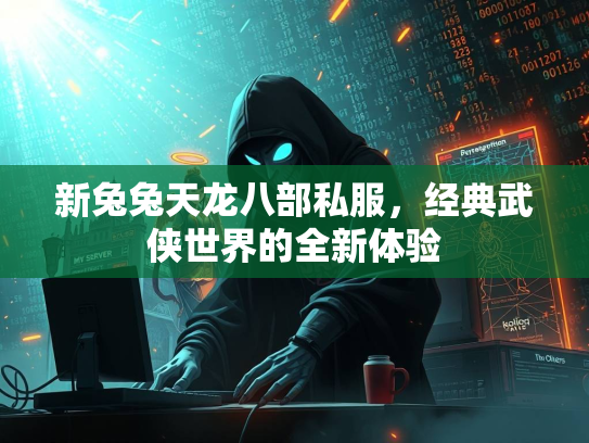新兔兔天龙八部私服，经典武侠世界的全新体验  第3张