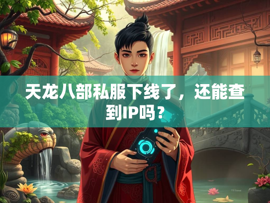 天龙八部私服下线了，还能查到IP吗？  第3张
