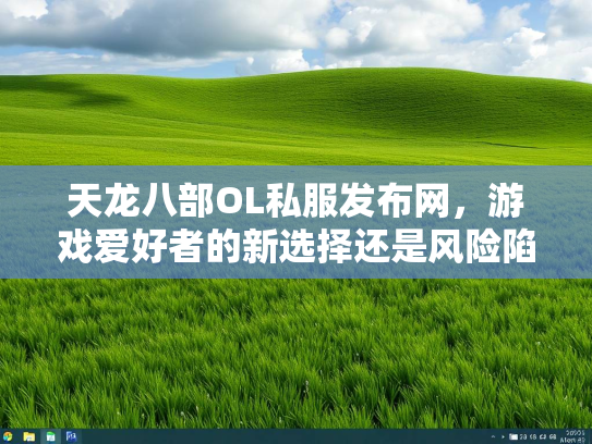 天龙八部OL私服发布网，游戏爱好者的新选择还是风险陷阱？