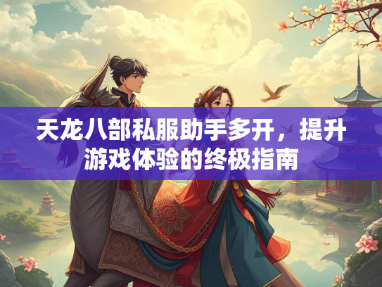 天龙八部私服助手多开，提升游戏体验的终极指南