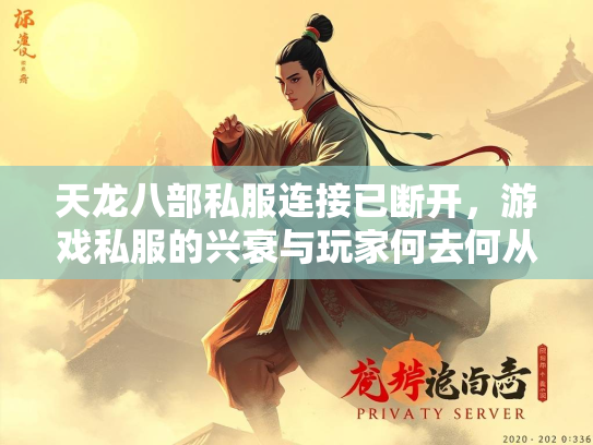 天龙八部私服连接已断开，游戏私服的兴衰与玩家何去何从