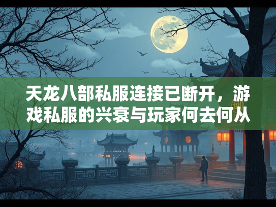 天龙八部私服连接已断开，游戏私服的兴衰与玩家何去何从
