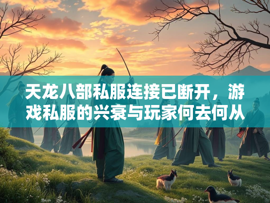 天龙八部私服连接已断开，游戏私服的兴衰与玩家何去何从