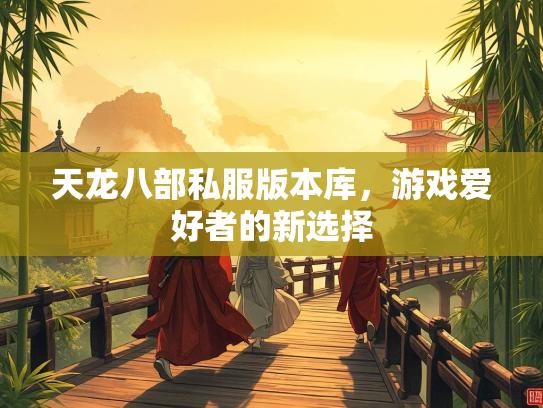 天龙八部私服版本库，游戏爱好者的新选择  第2张