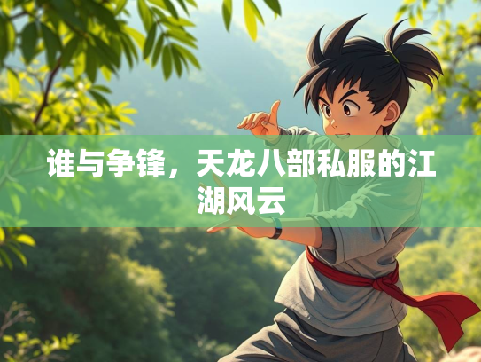 谁与争锋，天龙八部私服的江湖风云  第3张