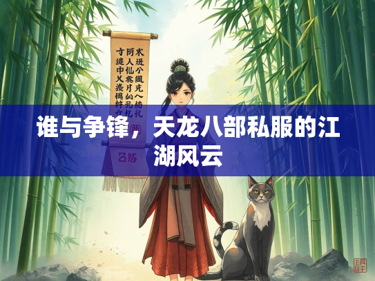 谁与争锋，天龙八部私服的江湖风云
