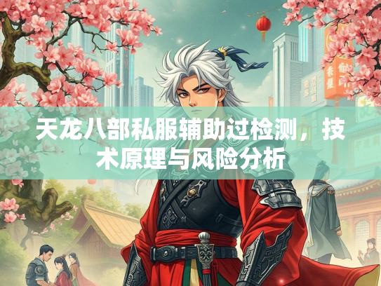 天龙八部私服辅助过检测，技术原理与风险分析