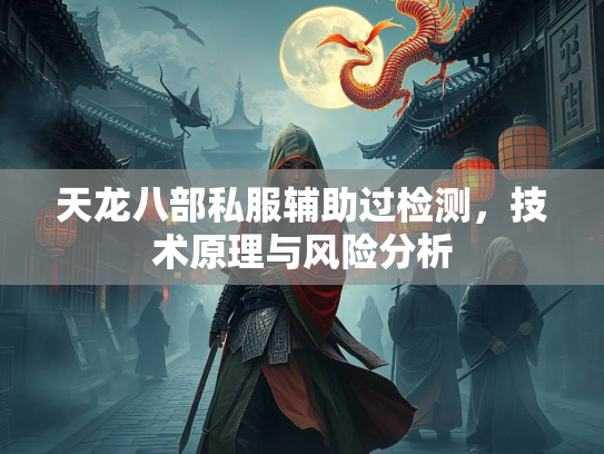 天龙八部私服辅助过检测，技术原理与风险分析