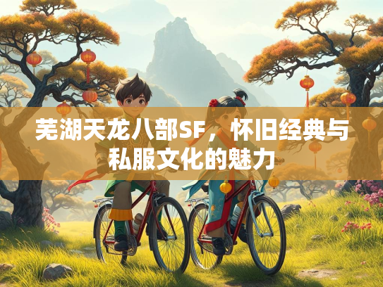 芜湖天龙八部SF，怀旧经典与私服文化的魅力  第3张
