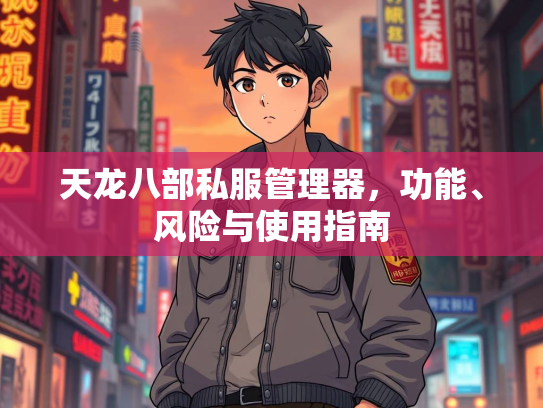 天龙八部私服管理器，功能、风险与使用指南