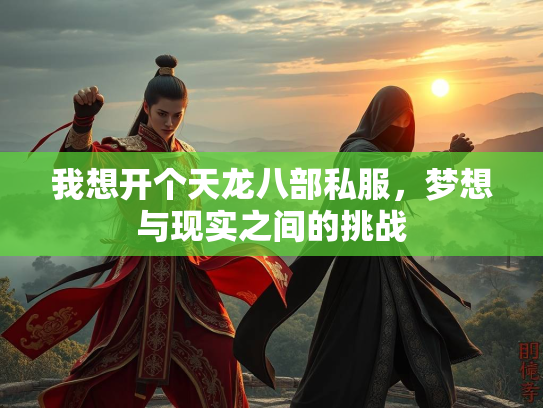 我想开个天龙八部私服，梦想与现实之间的挑战