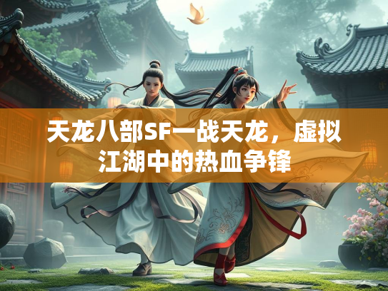 天龙八部SF一战天龙，虚拟江湖中的热血争锋