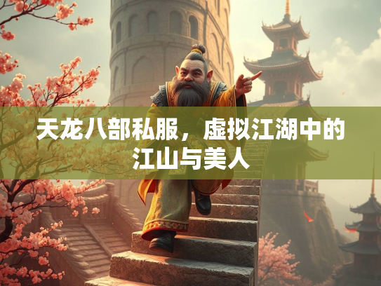 天龙八部私服，虚拟江湖中的江山与美人  第2张