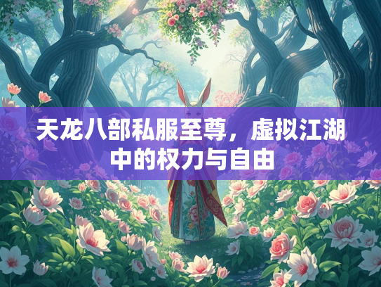 天龙八部私服至尊，虚拟江湖中的权力与自由