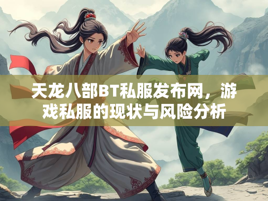 天龙八部BT私服发布网，游戏私服的现状与风险分析