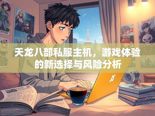 天龙八部私服主机，游戏体验的新选择与风险分析