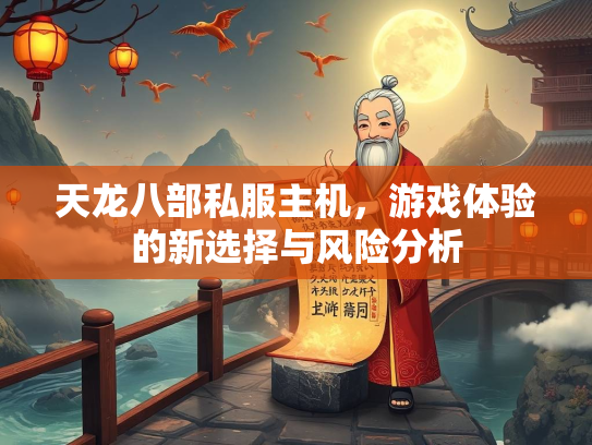 天龙八部私服主机，游戏体验的新选择与风险分析